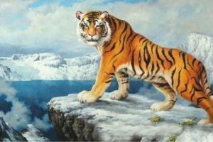 2025年生肖运势:1998年属虎人健康运势 2025年生肖运势:1998年属虎人健康运势