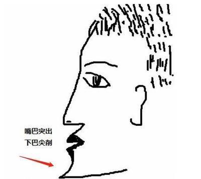 下巴突出面相详解 下巴突出代表着什么 下巴突出面相详解 下巴突出代表着什么