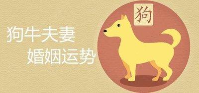 2025年生肖运势：2006年生肖狗的感情运势