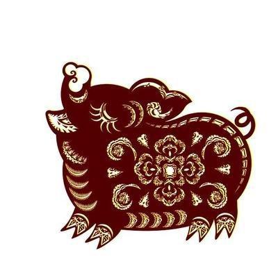 2025年生肖运势：2007年属猪人事业运势