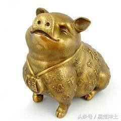 2025年生肖运势：2007年属猪人事业运势