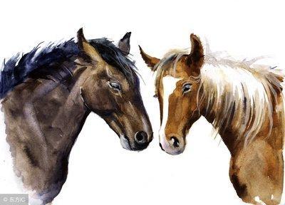 2025年生肖马几月事业运最差 工作压力最大 2025年生肖马几月事业运最差 工作压力最大