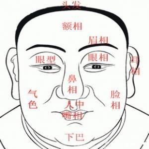 下巴面相分析你的命运 怎么看下巴面相