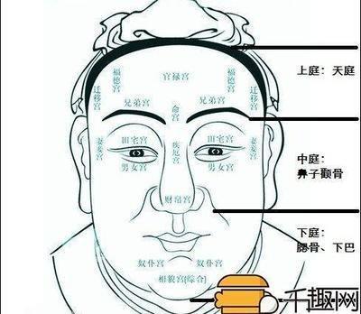 下巴饱满丰隆面相详解 下巴饱满的人命运好不好
