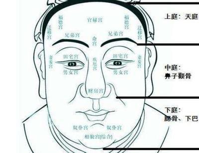 下巴饱满丰隆面相详解 下巴饱满的人命运好不好