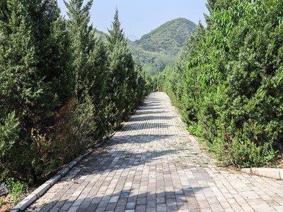 下葬的时间对墓地有何影响如何选择下葬时间
