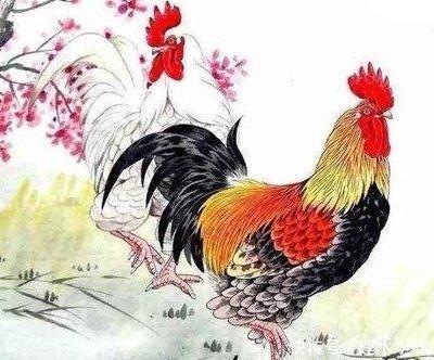 2025年生肖鸡流年犯太岁 有哪些注意事项