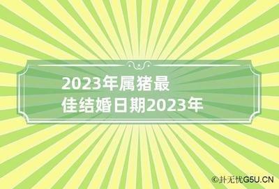95属猪哪一年结婚最好从八字去看