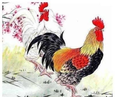 2025年生肖鸡的财运分析 如何才能有好财运