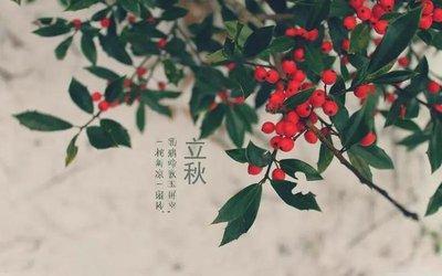 95年属猪人2025年要做出哪些改变