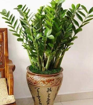 不利财运的物品 家里如果有要尽早处理掉