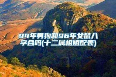 96鼠和94狗相配吗 这对组合婚姻会幸福吗
