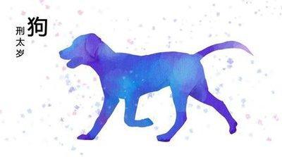 不同出生年份属狗的人2025年运程