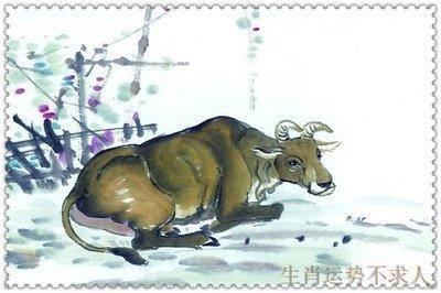 97年属牛的婚姻 1997属牛多少岁结婚好