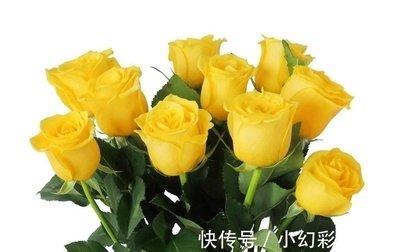 不同季节出生的属羊人性格和脾气性格