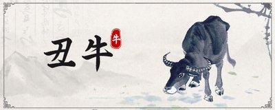 97年生肖牛出生的人2025年运势有什么特别