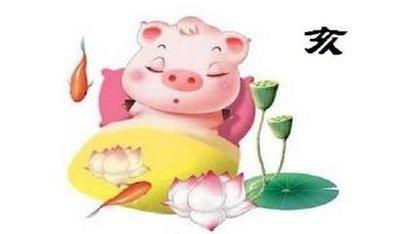 不同年份出生的属猪人命运不同 在明年的运势也有差异