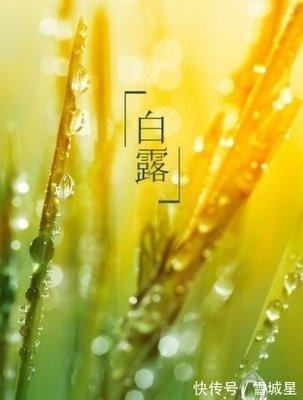 2025年白露是什么时候 2025白露节气是哪天