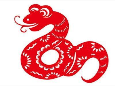 不同年龄层的属蛇人一生的命运如何呢