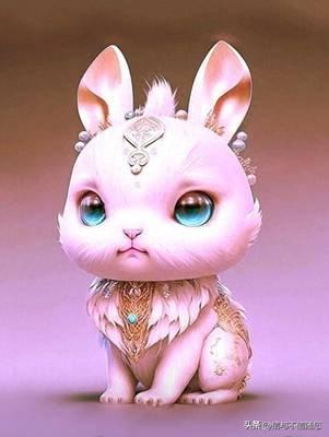 2025年的属兔43岁运势情况好吗