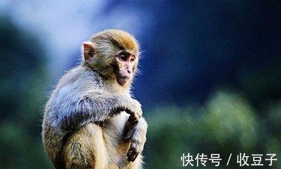 不吝啬的生肖是什么 对人很大方的生肖