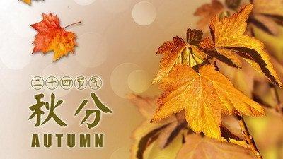 2025年秋分是几月几日，2025年秋分是哪天