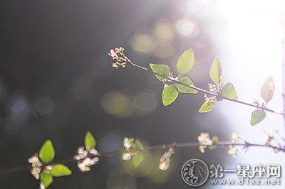 2025年立夏是几月几日，2025年立夏是哪天