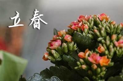 2025年立春是什么时候 2025立春节气是哪天