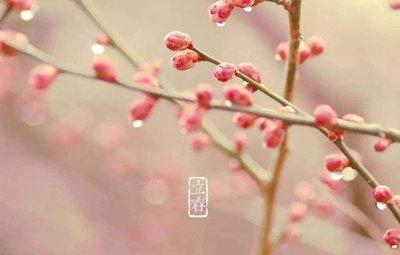 2025年立春是几月几日，2025年立春是哪天