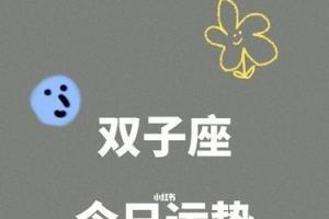 Alex 2025年双子座运势精华版