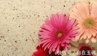 不爱钱的生肖 对钱没有太大兴趣的生肖