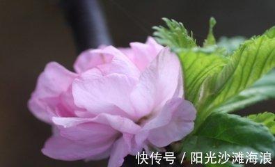 不珍惜自己所拥有的 这些生肖反而会失去更多