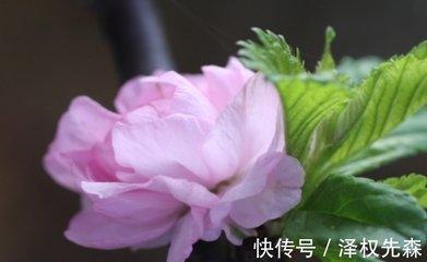 不珍惜自己所拥有的 这些生肖反而会失去更多