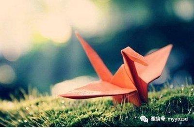 不生孩子，原来是“克夫”命理现象