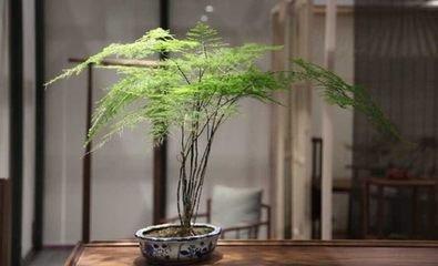 不知不知的2025年开运风水2025开运风水