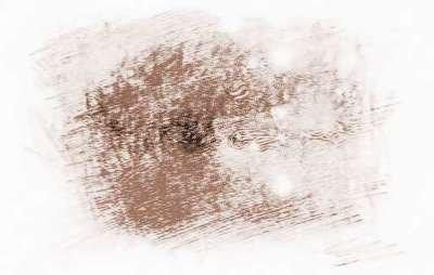 Alex狮子座运势2026年8月