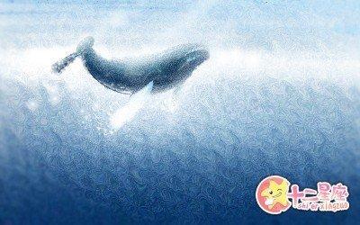 Annemilk占星2025年8月十二星座运势