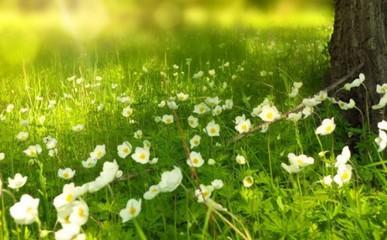 2月24日出生命运如何和星座是什么