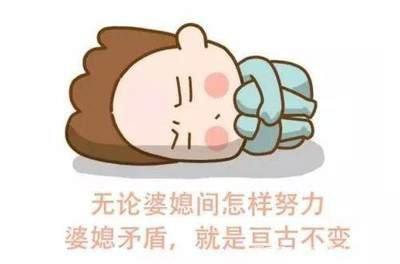 不识大体打一个生肖 什么生肖没有礼貌