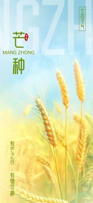 2025年芒种是什么时候 2025芒种节气是哪天
