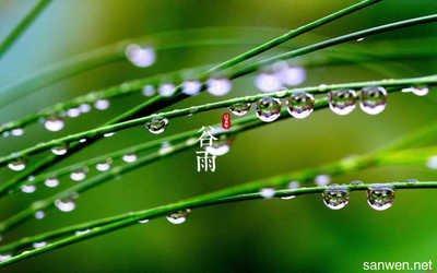 2025年谷雨是几月几日，2025年谷雨是哪天