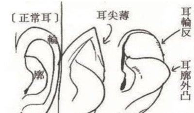 3大面相看你是否水性杨花用情不专一