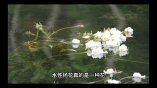 3大面相看你是否水性杨花用情不专一