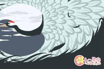 Geo老师2025年12月十二星座运势详细解析