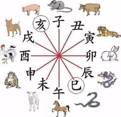 2025年运势一波三折的生肖 生活也是起起伏伏