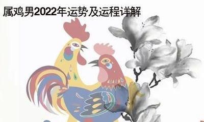 丑时属鸡人的命运 属鸡丑时生人怎么样
