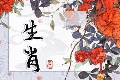 2025年运势最好的属相,蛇年对哪个生肖比较好