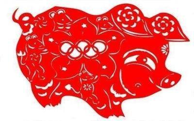 2025年运势：95年属猪的吉祥物选择哪些最好
