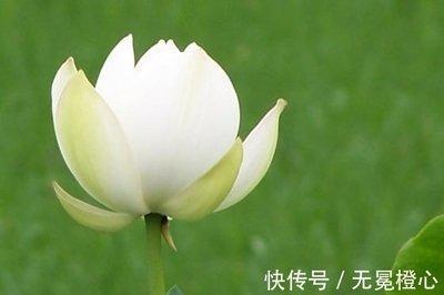 2025年适合添丁怀孕的生肖 谁更适合生子