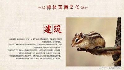 2025年里事业运先抑后扬发展稳定的生肖有哪些